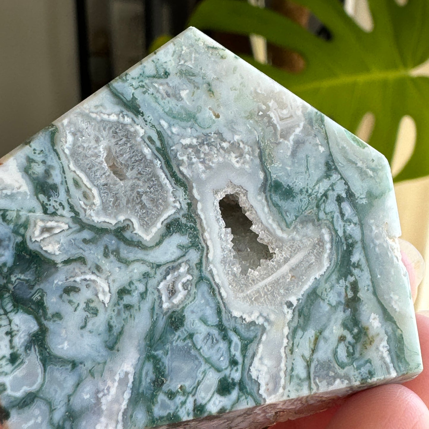 Moss Agate Freeform