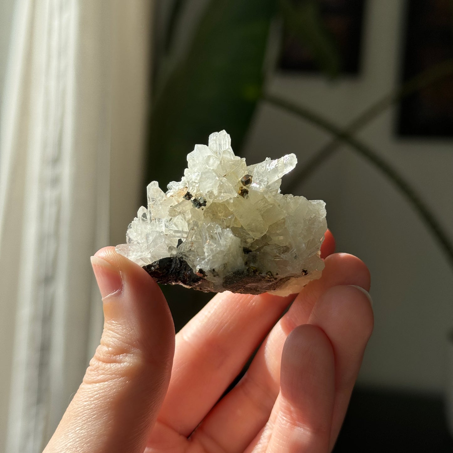 Quartz and Pyrite Cluster