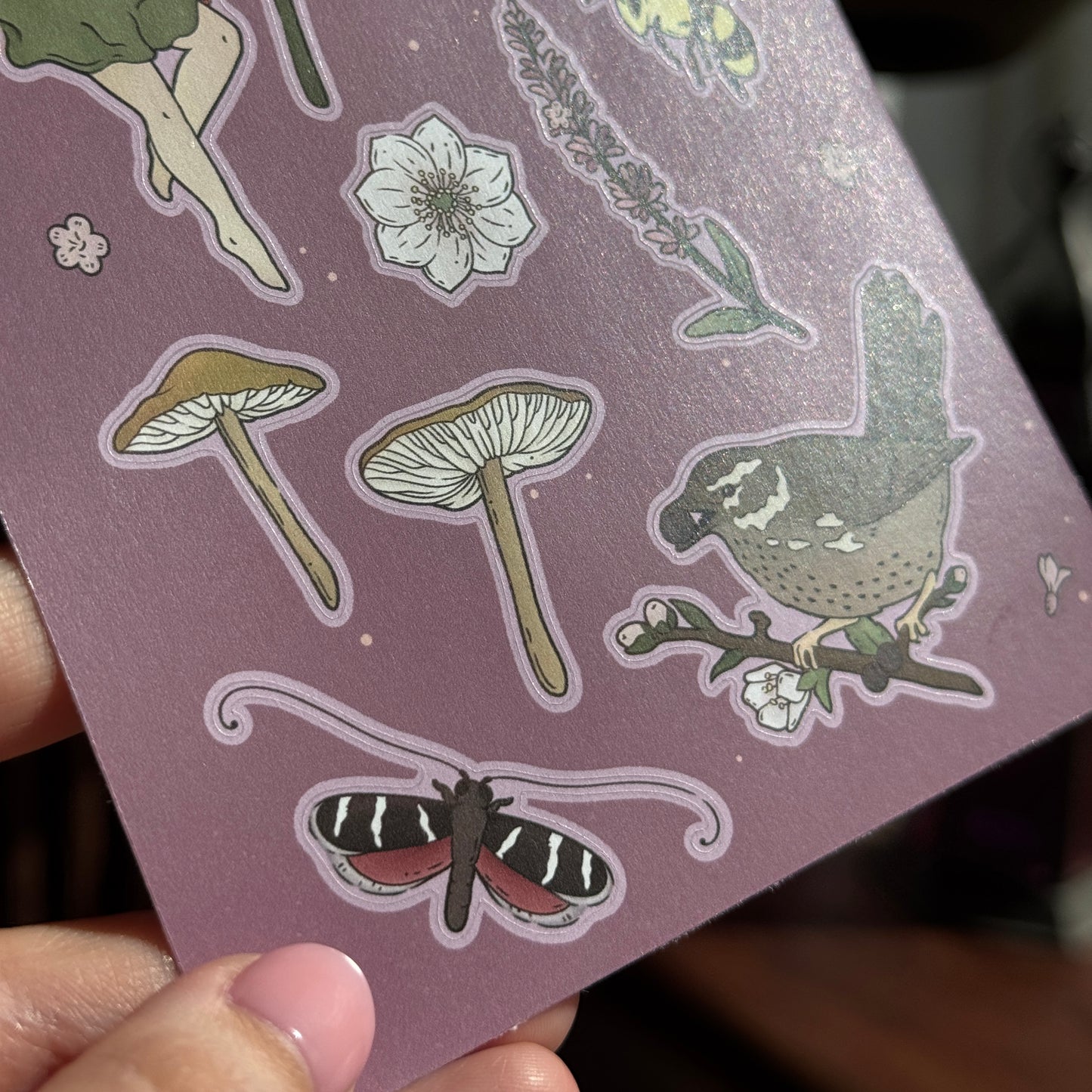 PRE ORDER A Fae Life Sticker Sheet