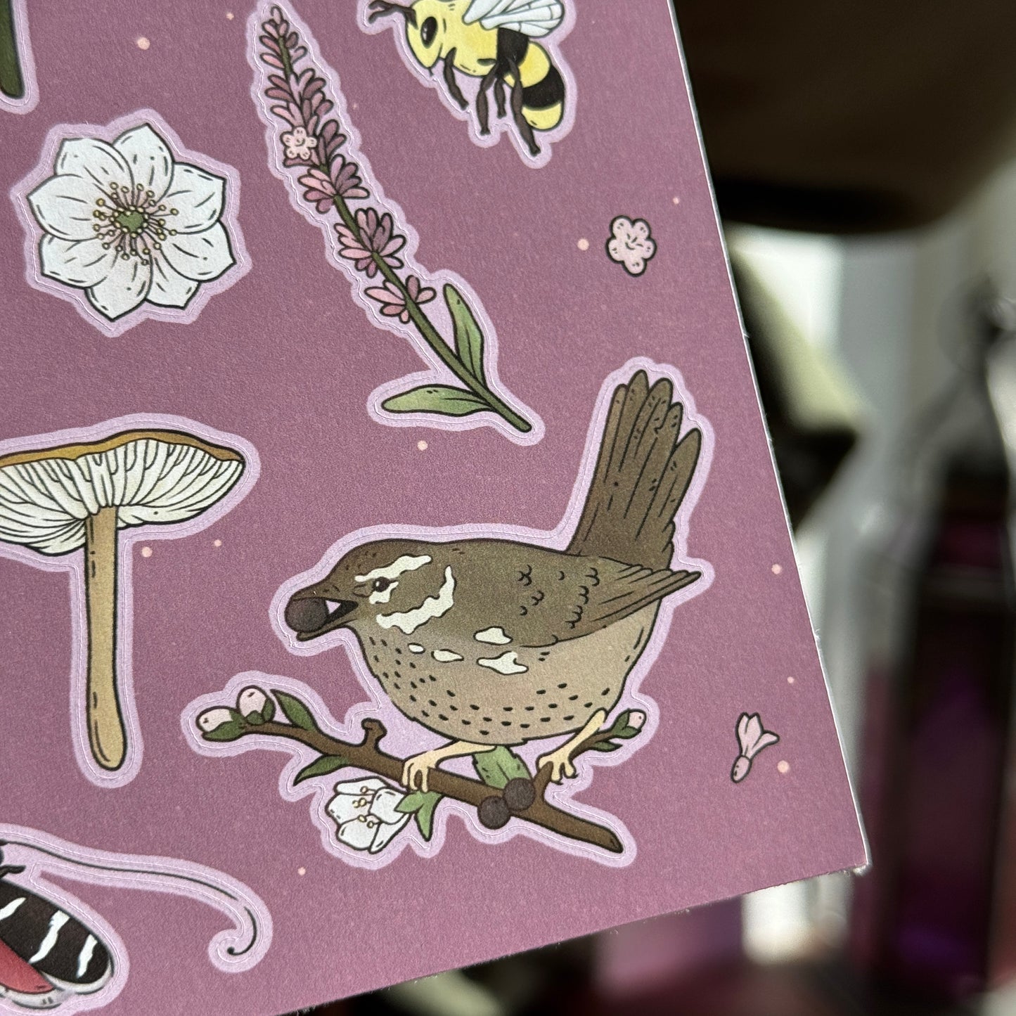 PRE ORDER A Fae Life Sticker Sheet