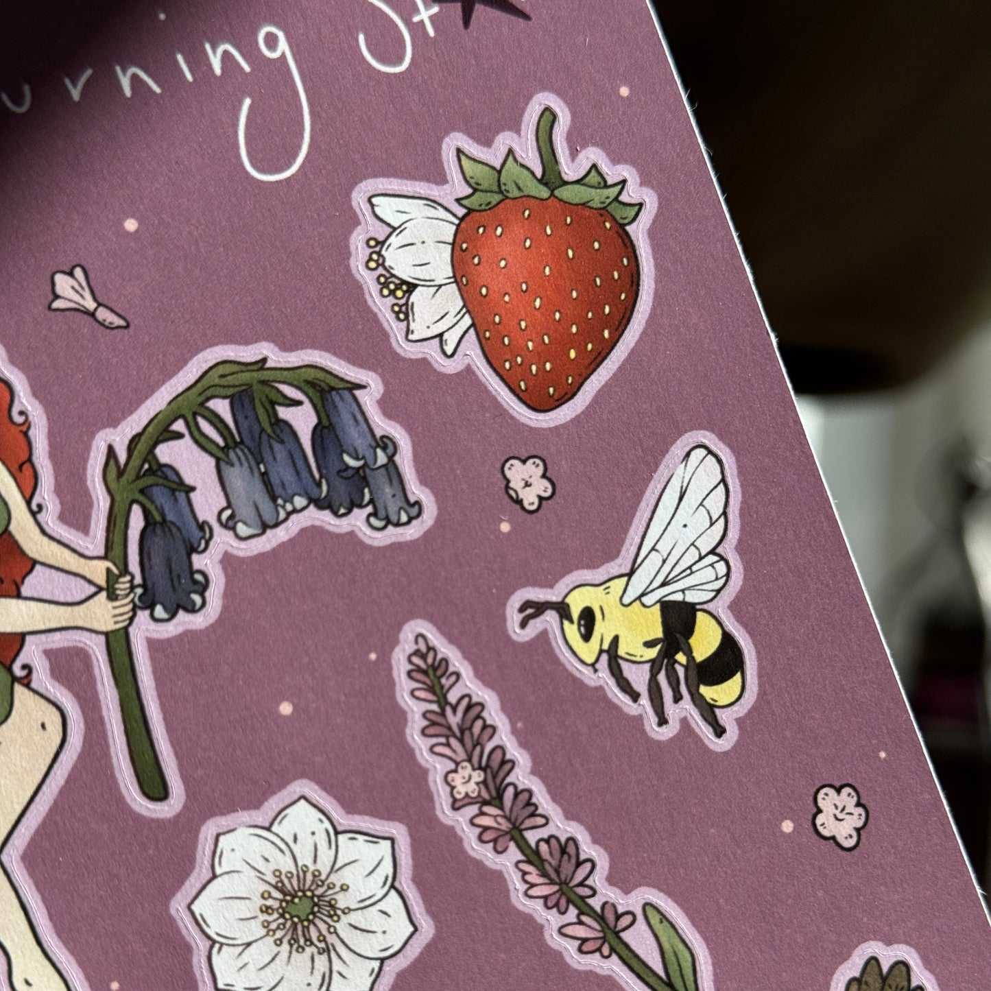 PRE ORDER A Fae Life Sticker Sheet
