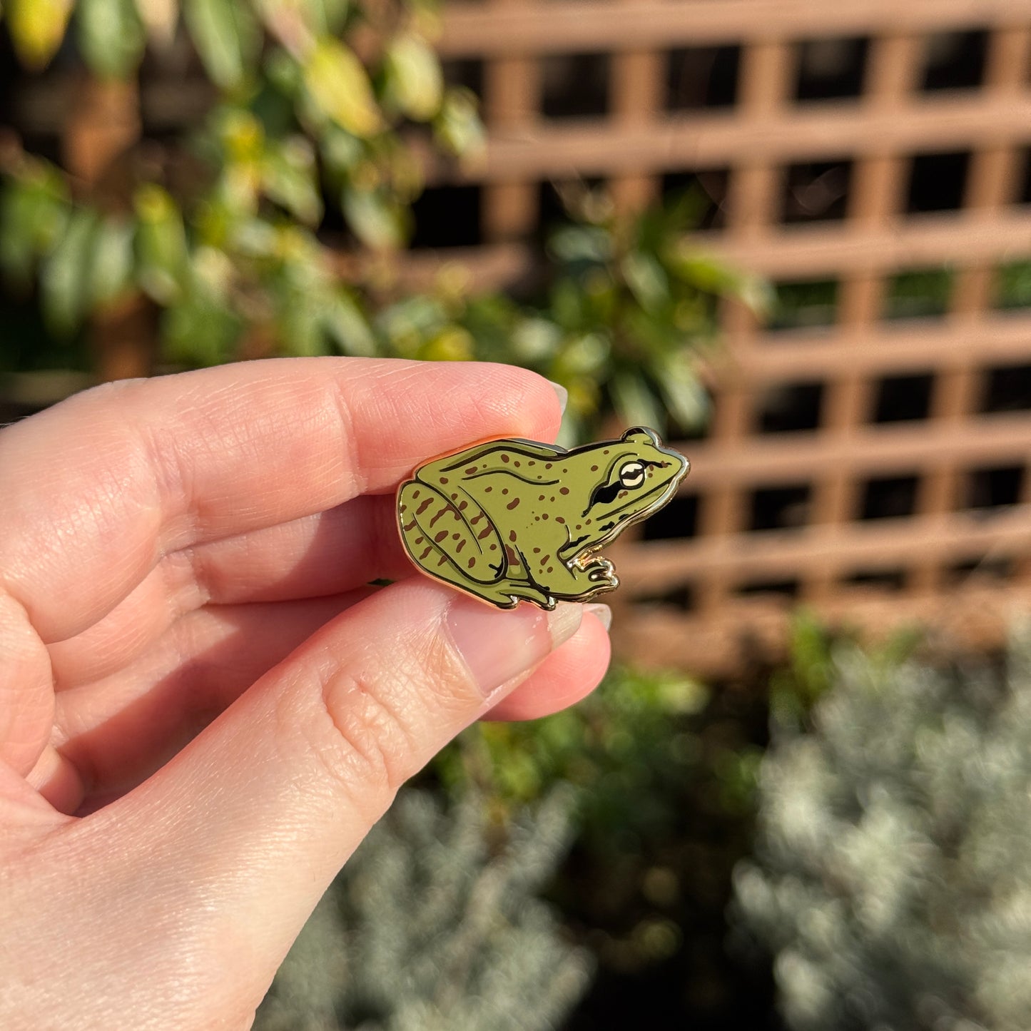 Garden Frog Enamel Pin