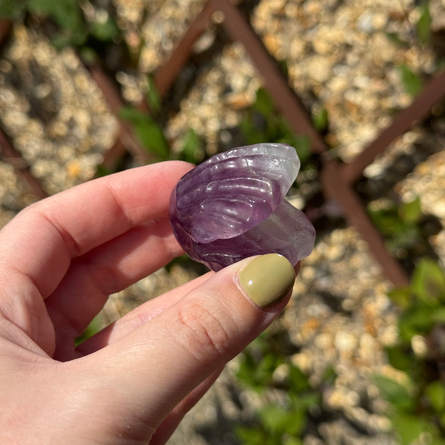 Fluorite Clam Carving