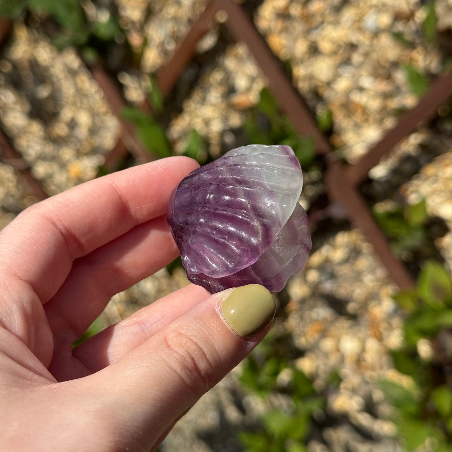 Fluorite Clam Carving