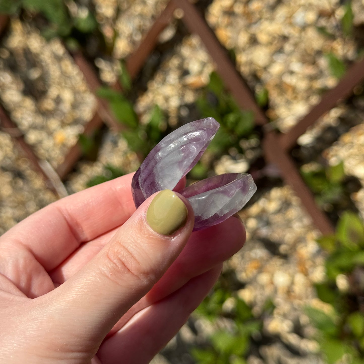 Fluorite Clam Carving
