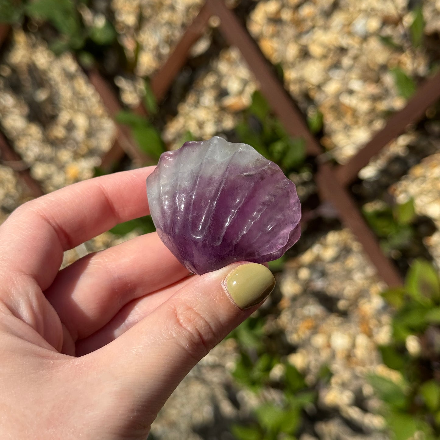 Fluorite Clam Carving
