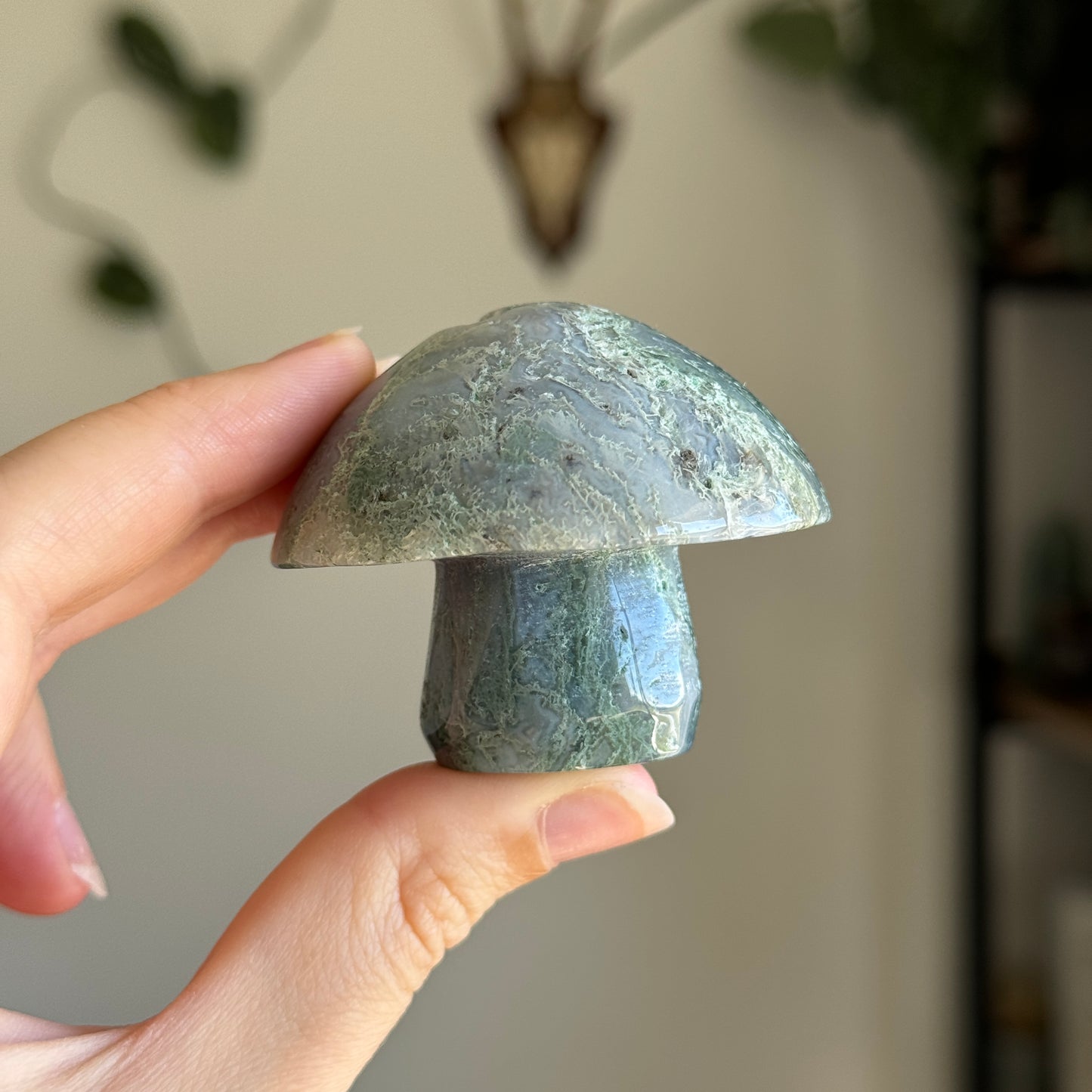 Moss Agate Mushroom