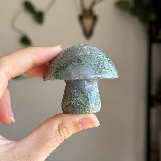 Moss Agate Mushroom