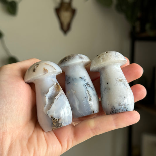 Dendritic Agate Mushrooms