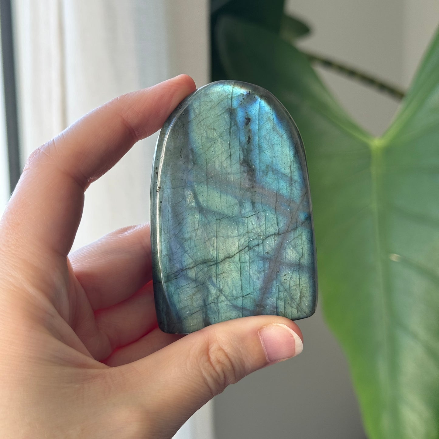 Medium Labradorite Freeform