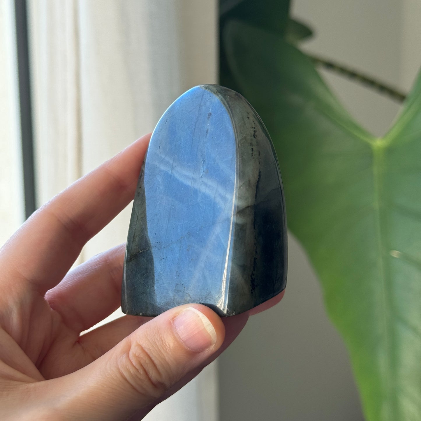 Medium Labradorite Freeform