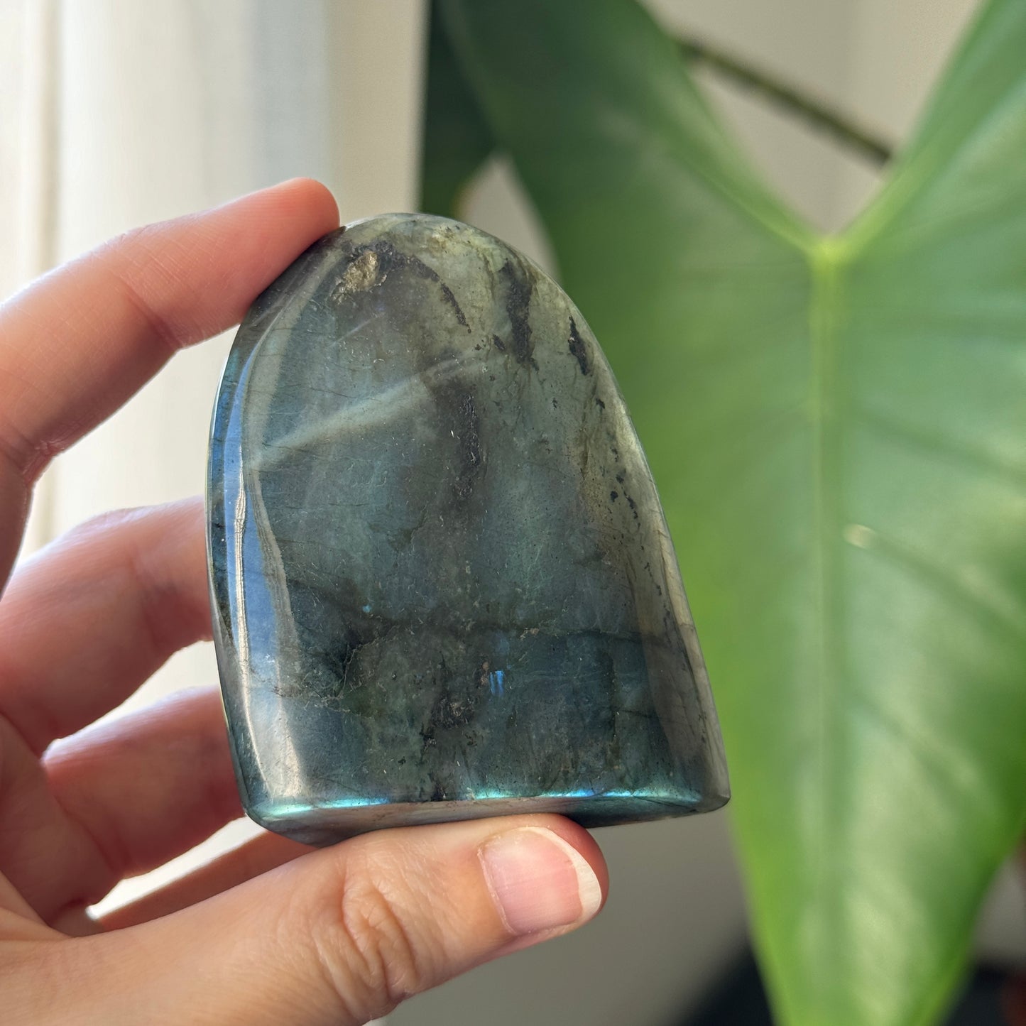 Medium Labradorite Freeform