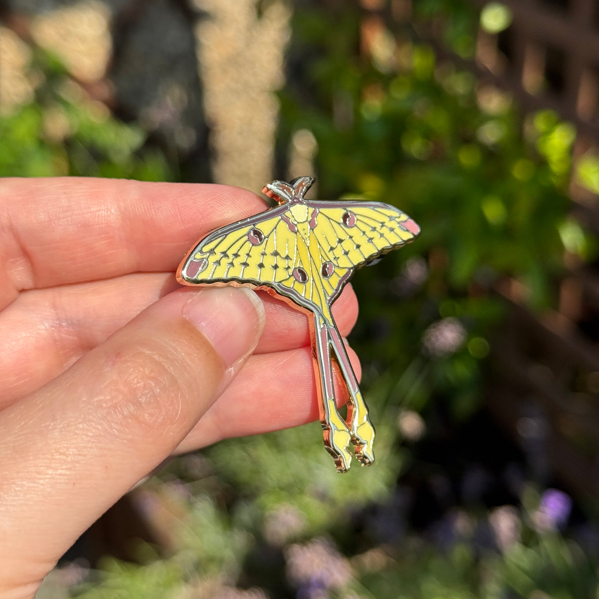 Comet Moth Enamel Pin