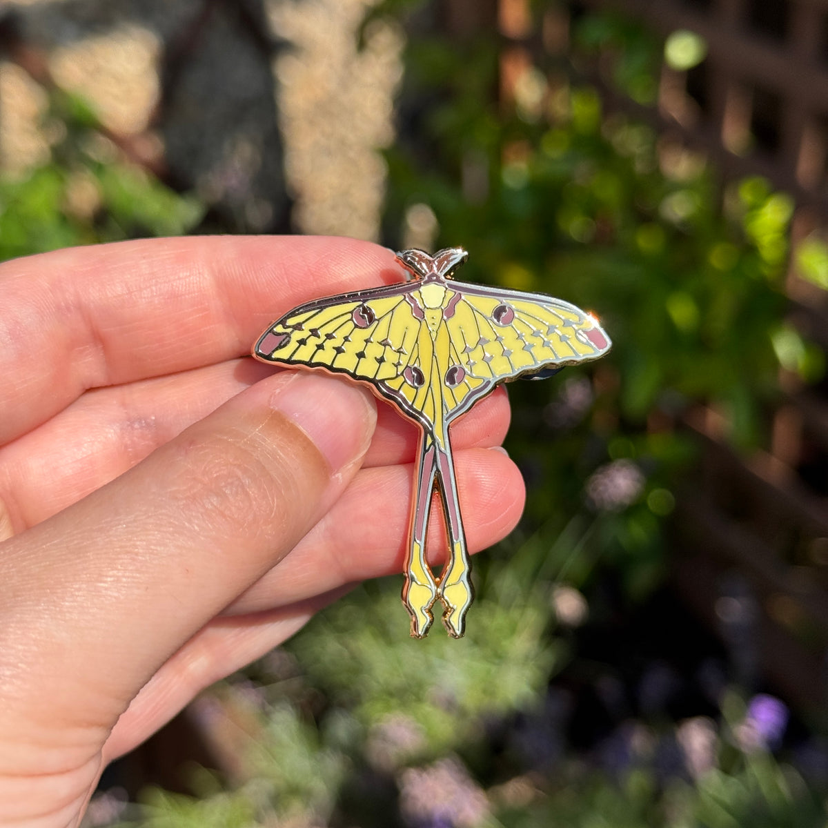 Comet Moth Enamel Pin