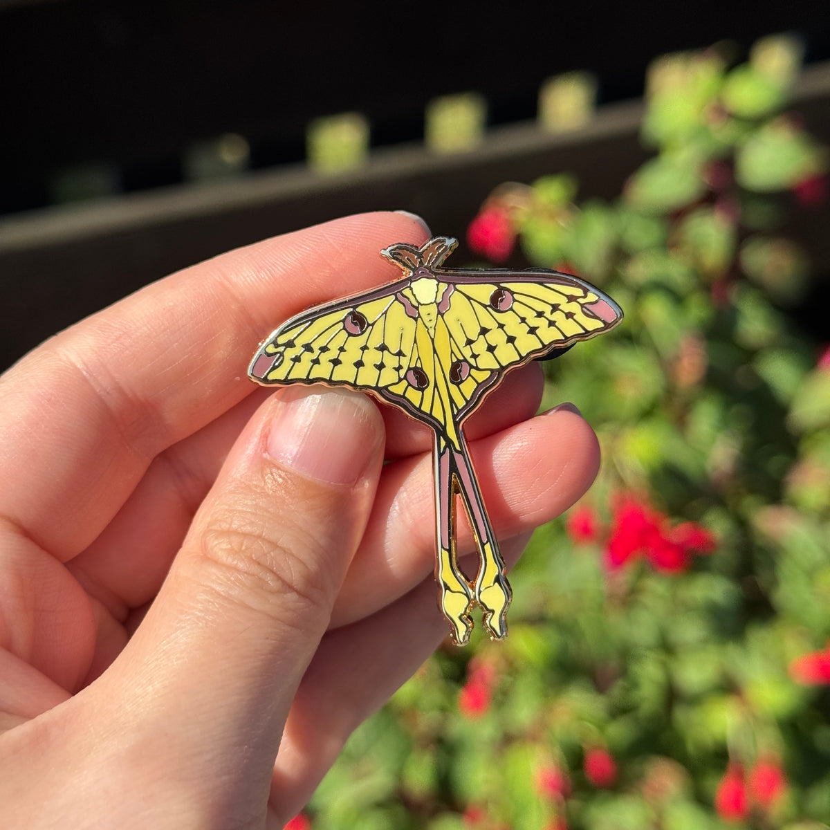 Comet Moth Enamel Pin