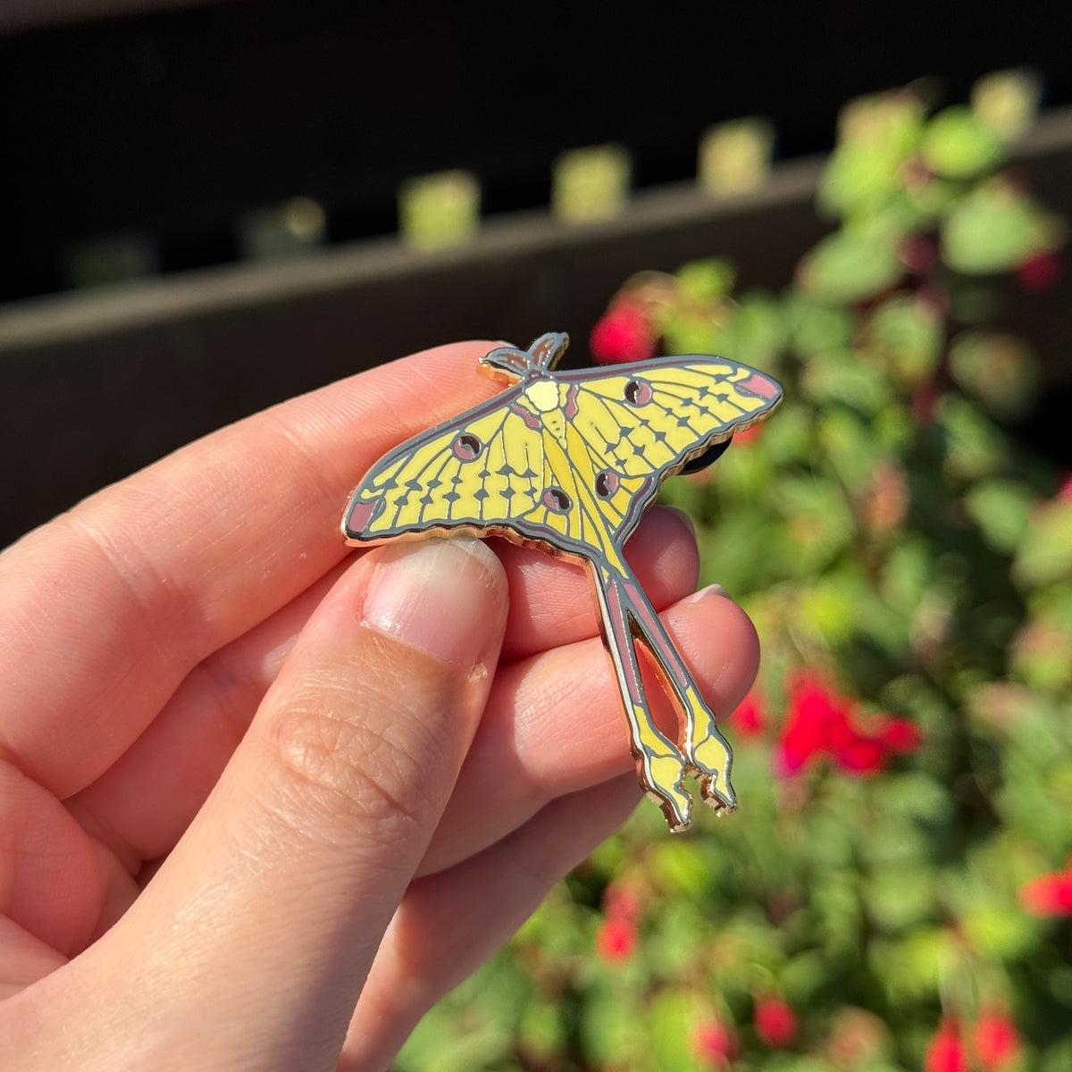 Comet Moth Enamel Pin