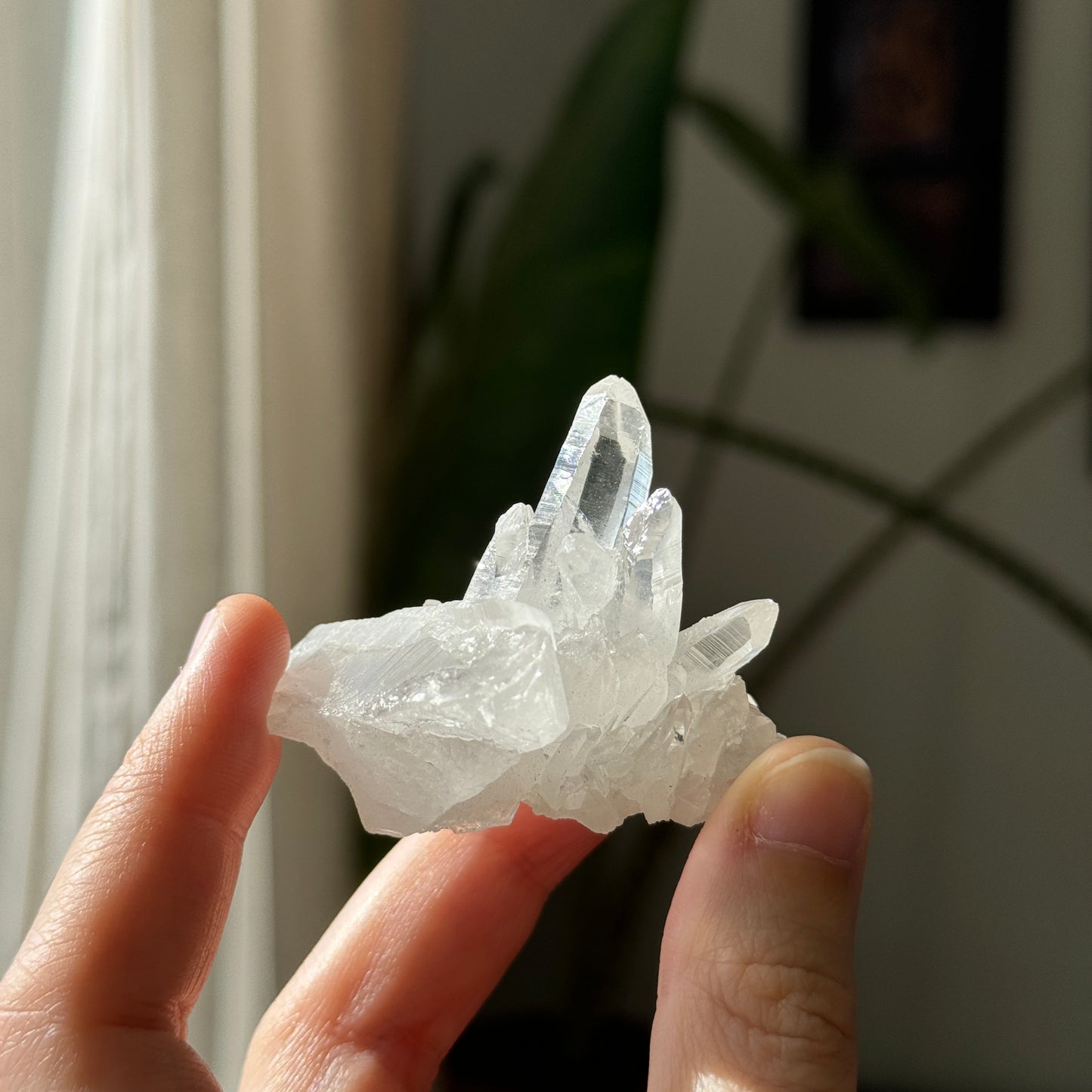 Clear Quartz Cluster