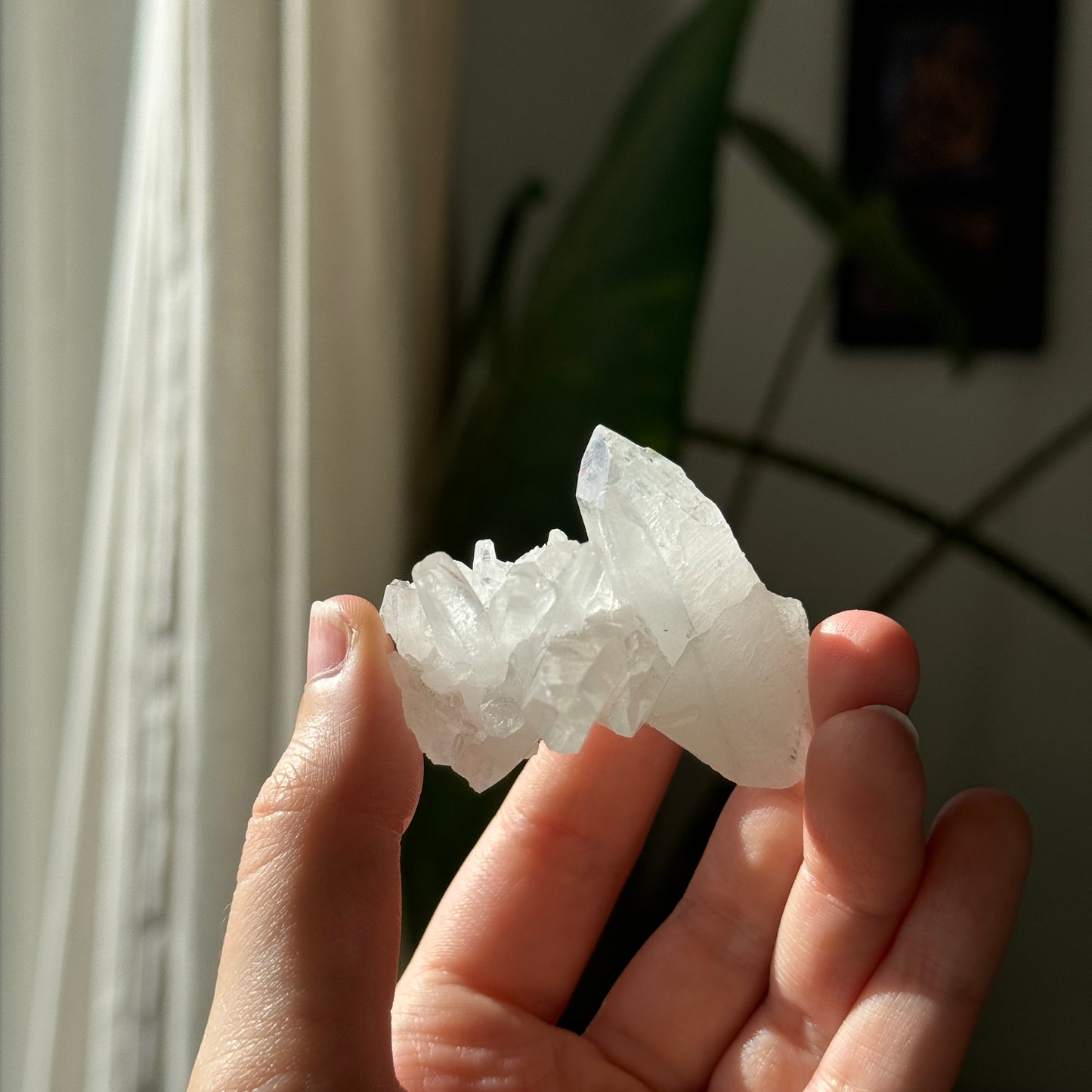 Clear Quartz Cluster