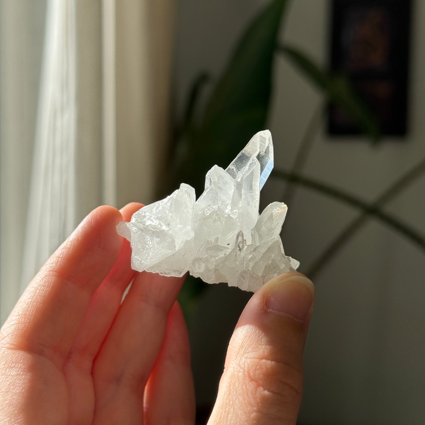 Clear Quartz Cluster